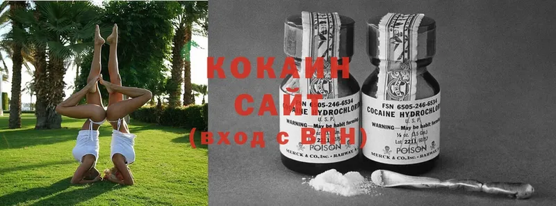 купить наркотик  Алапаевск  Cocaine Перу 